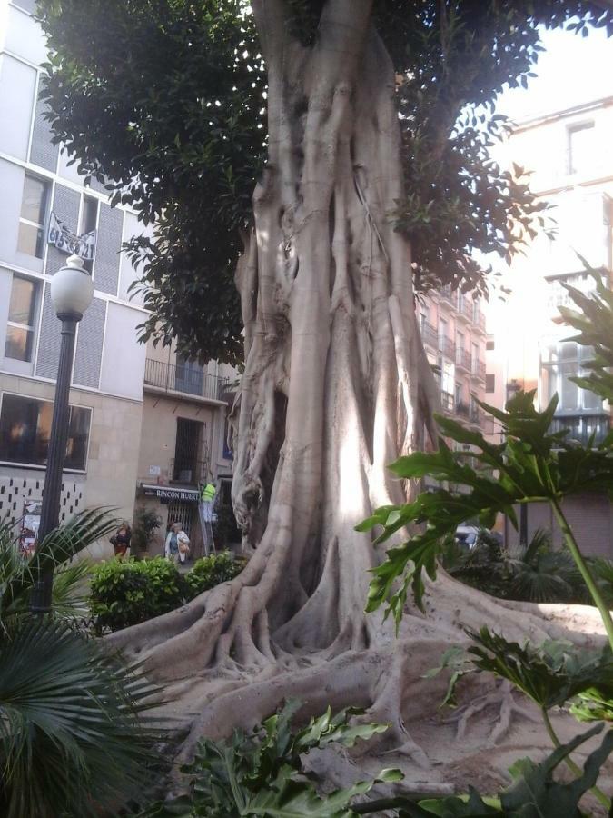 Privatunterkunft Chez Berna - Se Alquila Dénia